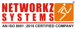 Network systems logo